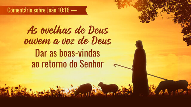 Explicação de João 10:16 - As ovelhas de Deus ouvem Sua voz para dar as boas-vindas ao retorno do Senhor