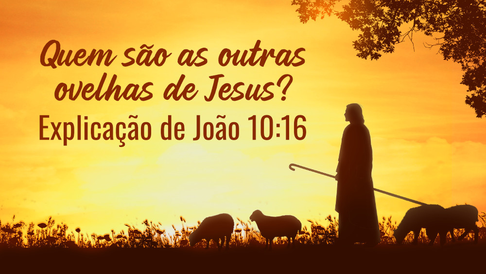 Quem são as outras ovelhas de Jesus? Explicação de João 10:16
